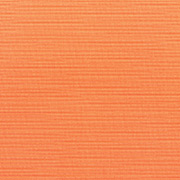 Canvas Tangerine