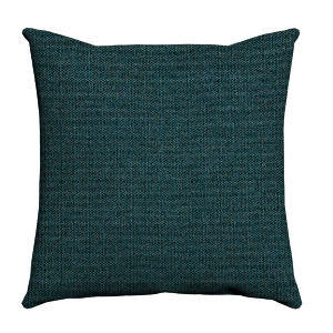 Custom Throw Pillow - 57839