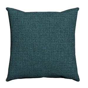 Custom Throw Pillow - 66690