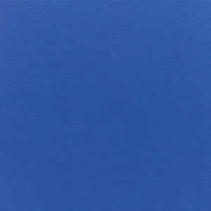 Canvas-True-Blue_5499-0000.jpg