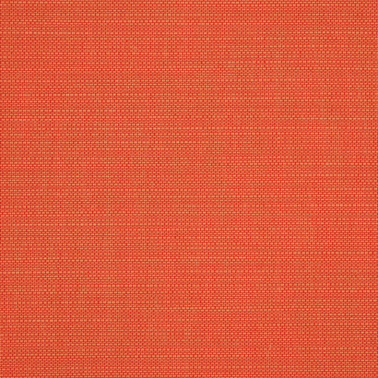 Echo-Sangria_8080-0000-1.jpg