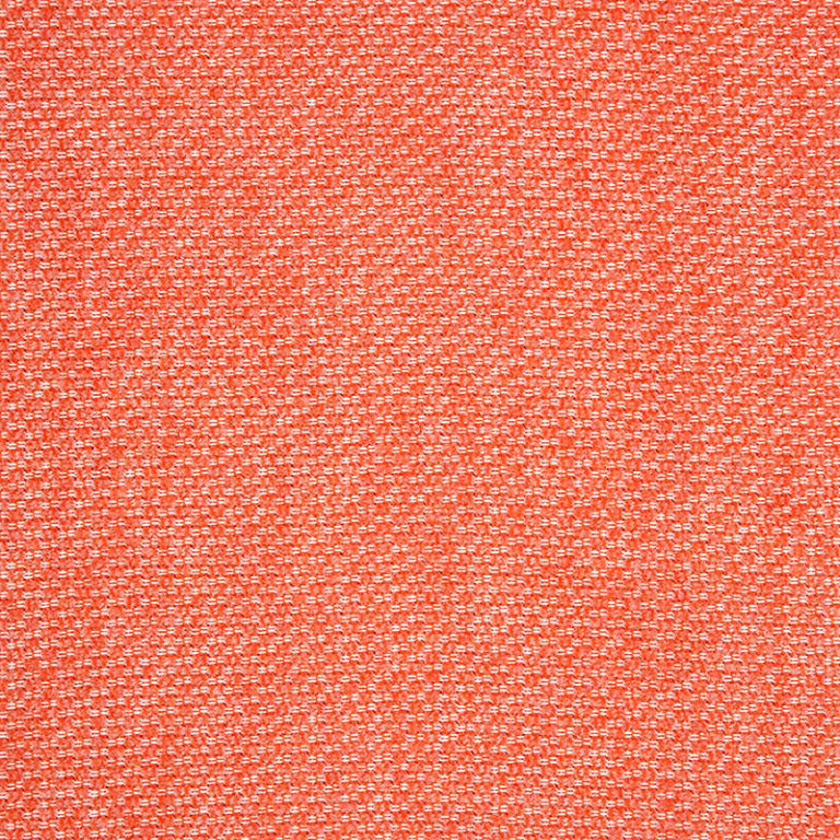 Tailored-Guava_42082-0021.jpg