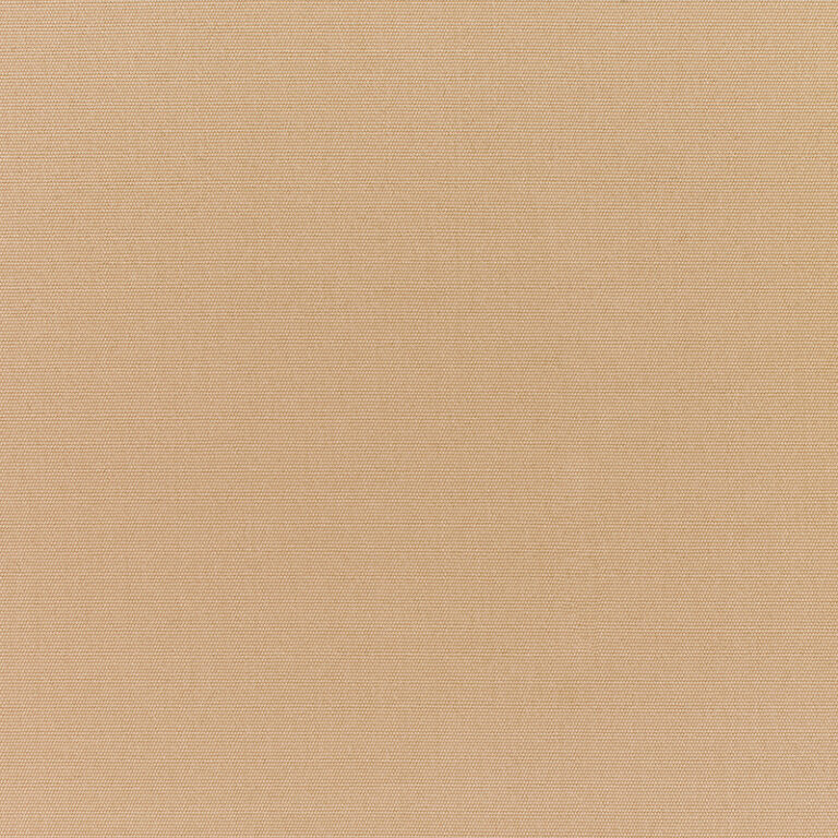 Canvas-Camel_5468-0000.jpg