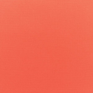 Canvas-Melon_5415-0000.jpg