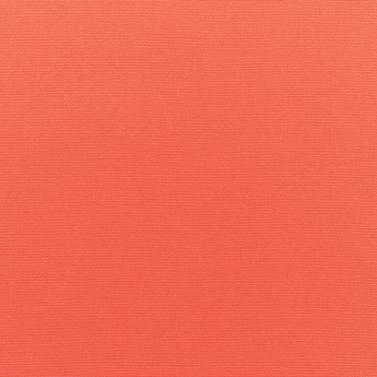 Canvas-Melon_5415-0000.jpg