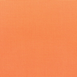 Canvas-Tangerine_5406-0000.jpg