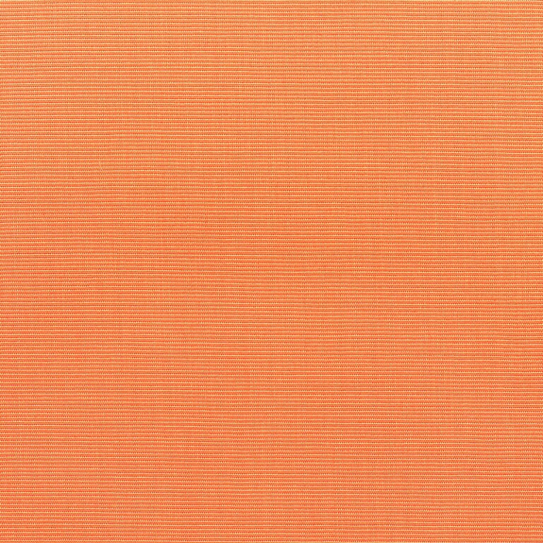Canvas-Tangerine_5406-0000.jpg