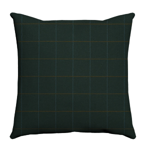 Custom Throw Pillow - 80662