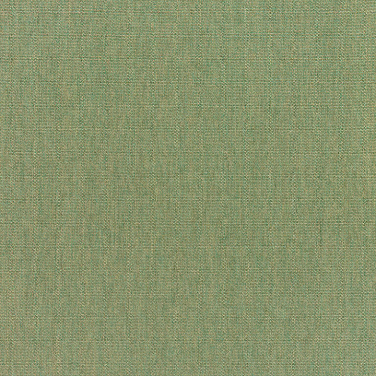 Canvas-Fern_5487-0000-1.jpg