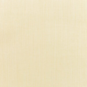 Canvas-Vellum_5498-0000.jpg