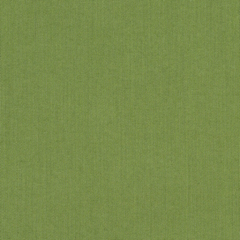 Spectrum-Cilantro_48022-0000.jpg