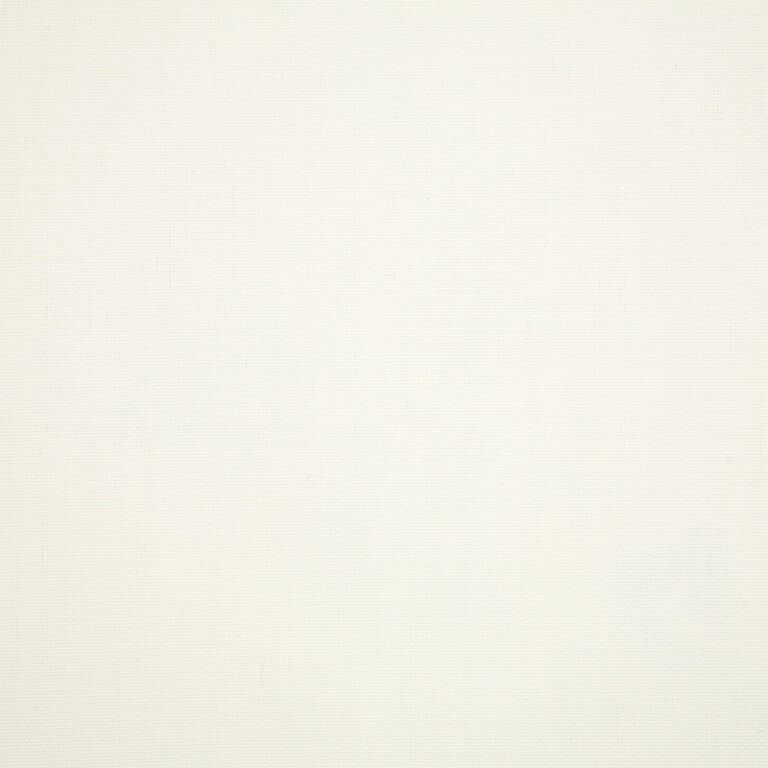 Canvas-White_57003-0000.jpg