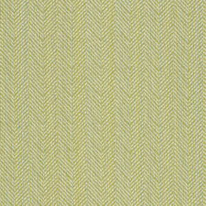 Posh-Lime_44157-0002.jpg