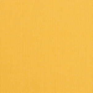 Spectrum-Daffodil_48024-0000.jpg