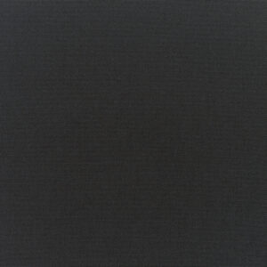 Canvas-Black_5408-0000.jpg