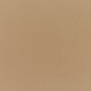 Canvas-Cocoa_5425-0000-1.jpg