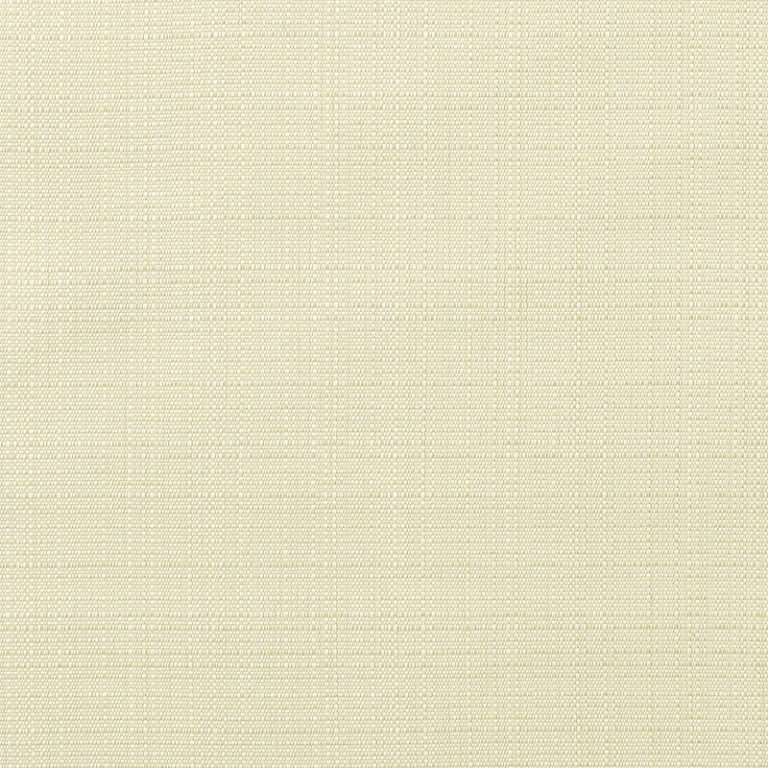 Linen-Canvas_8353-0000.jpg