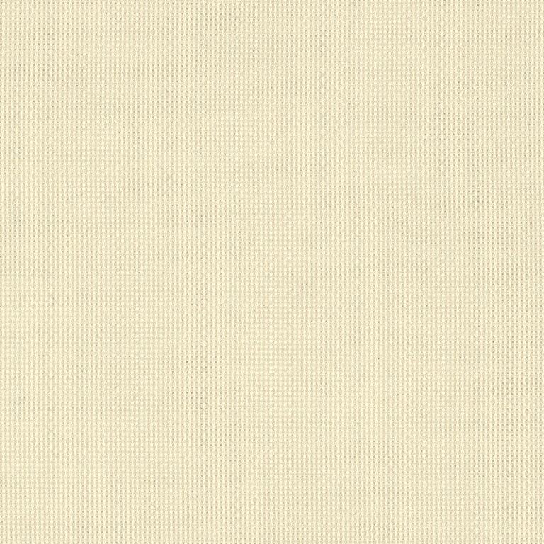 Shadow-Snow_51000-0000.jpg