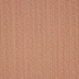 Fabrics Sample