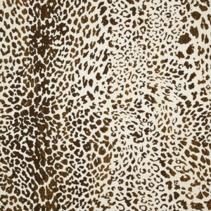 Fabrics Sample