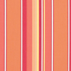Dolce-Mango_56000-0000.jpg